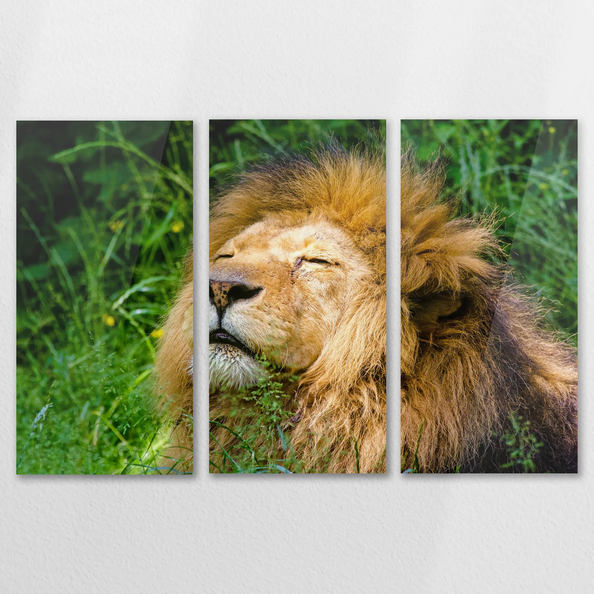 AC-150R100