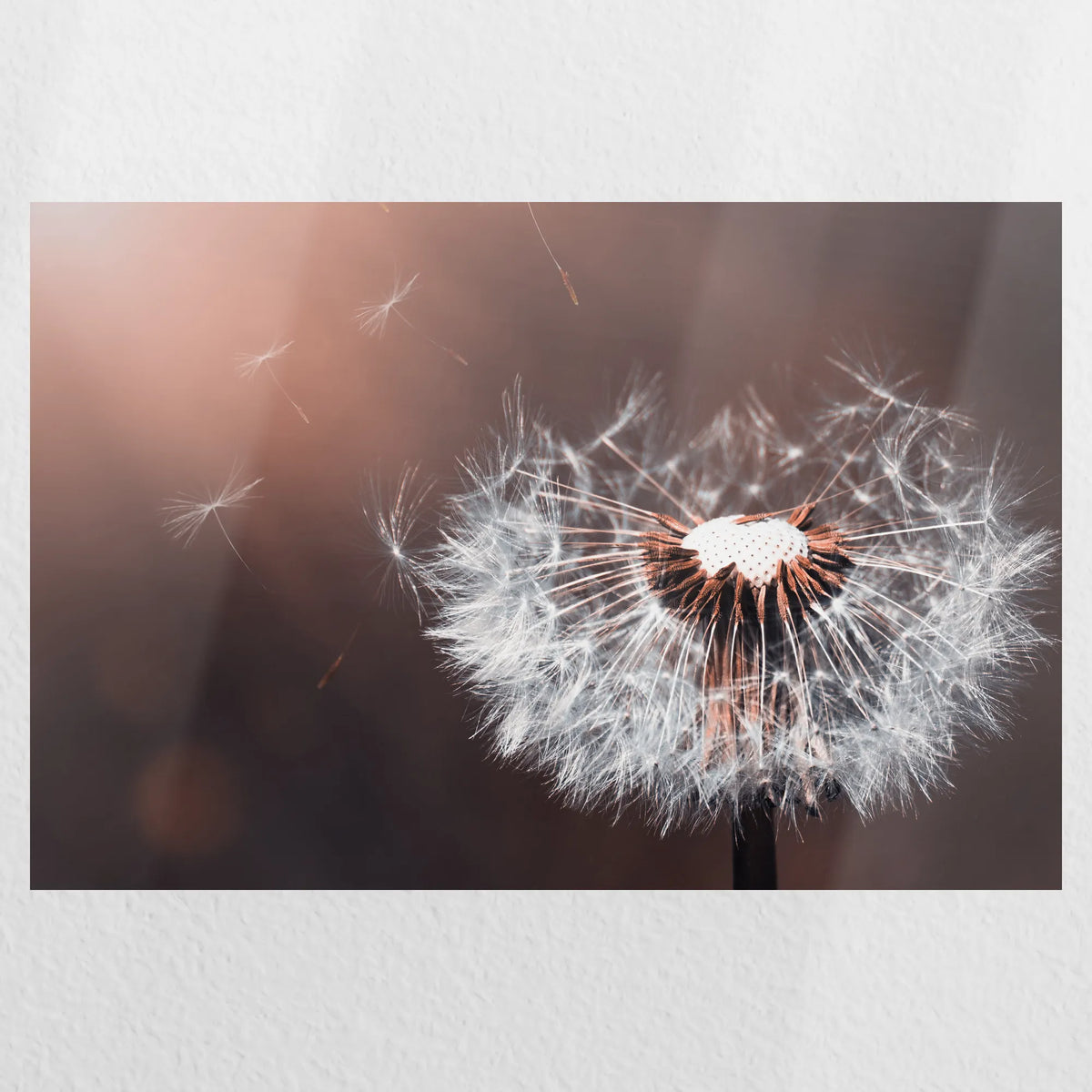 PO-030W020