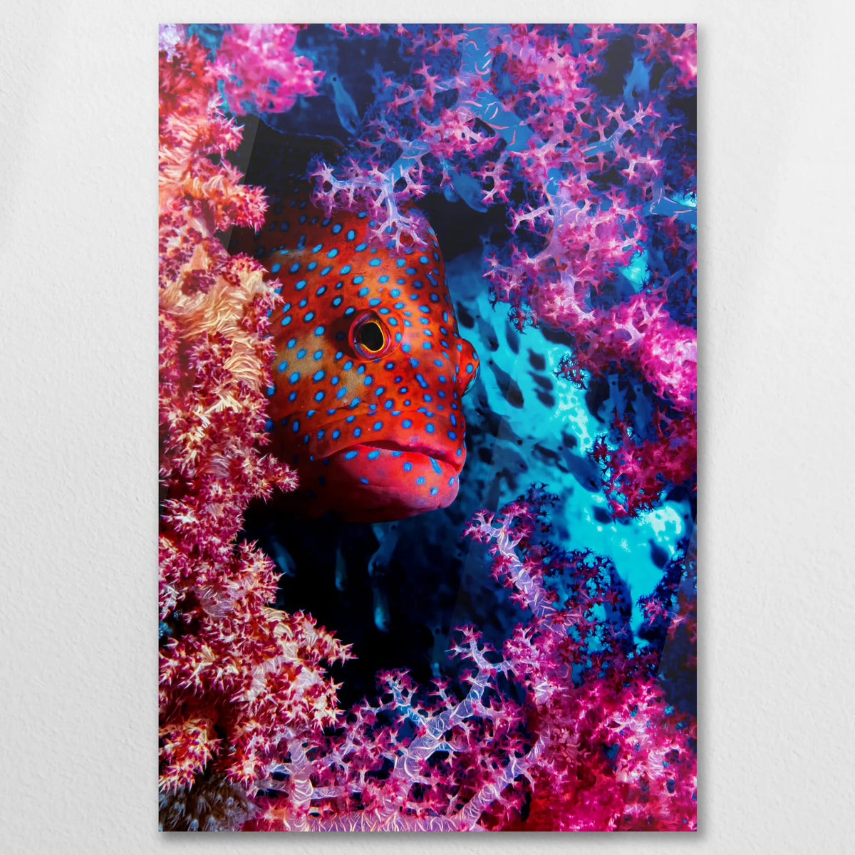 AC-060W090
