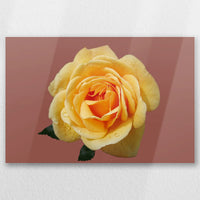 AL-045W030