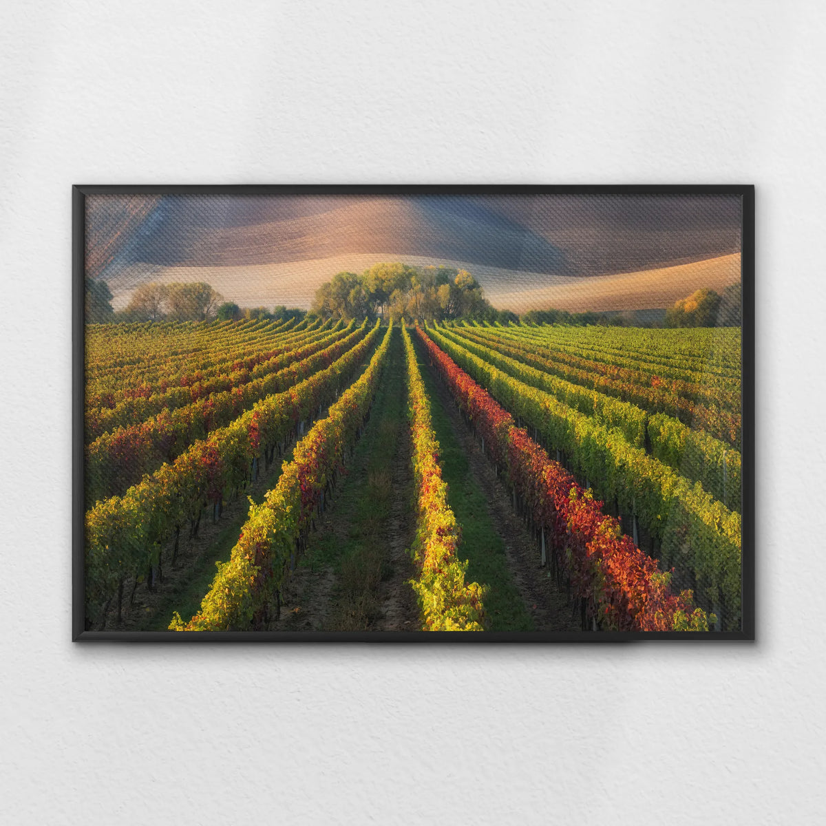 LWB100W070