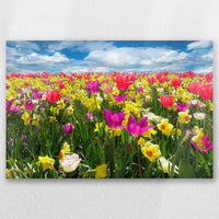 AC-030W020