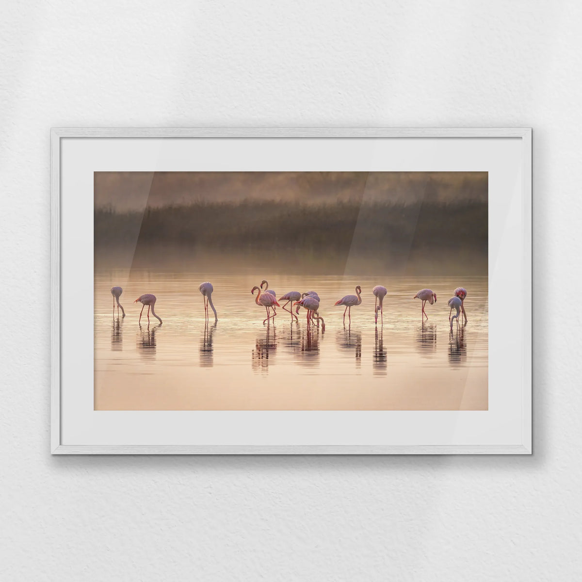 PWP093W062