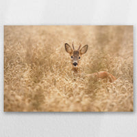 AL-045W030