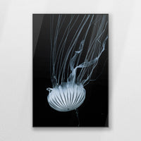 PB-080W120