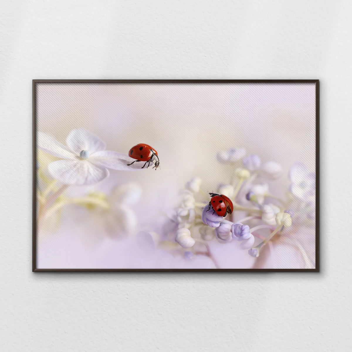 LWN120W080