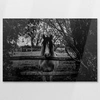 AL-090W060