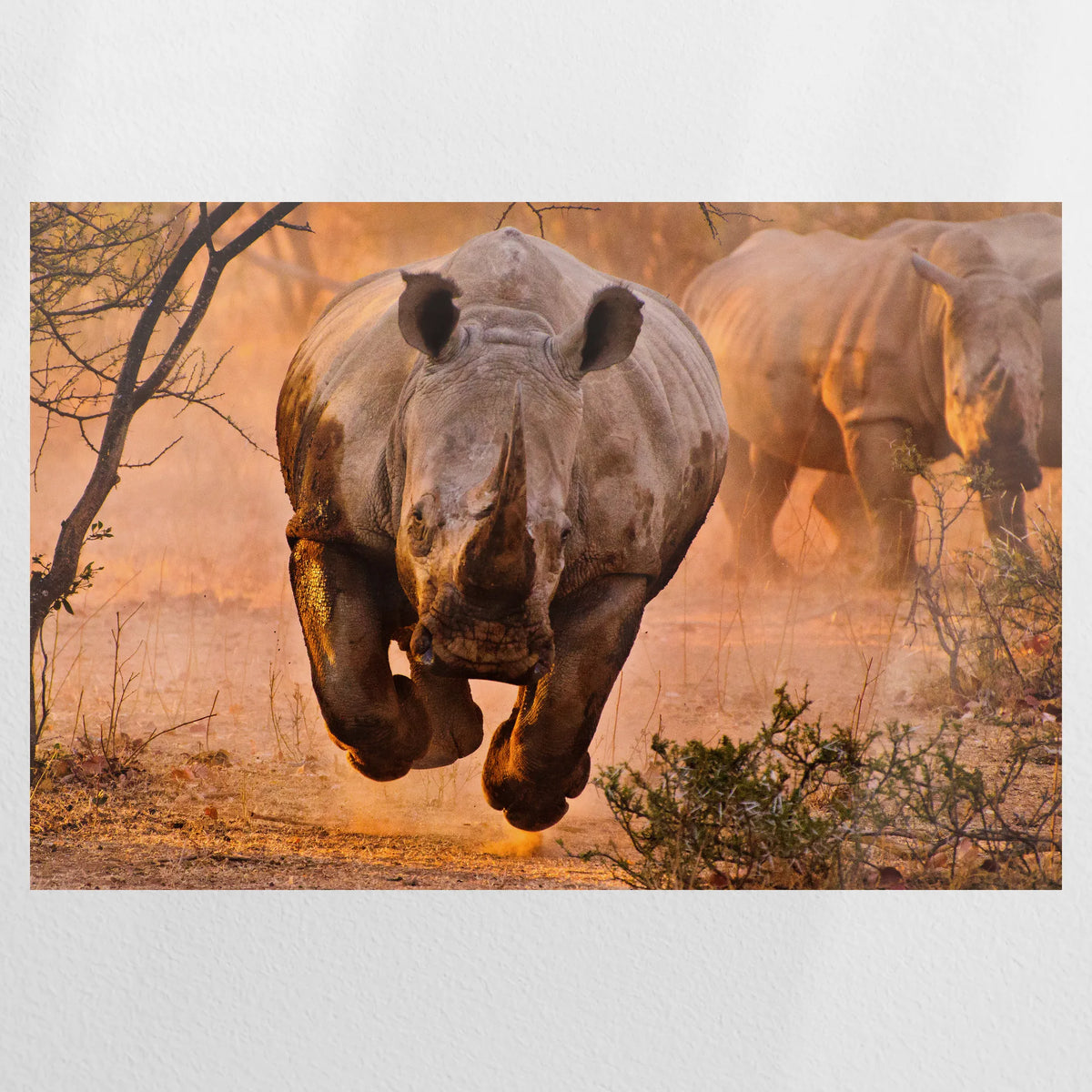 PO-090W060