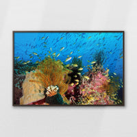 LWN120W080