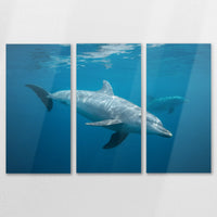 AL-120R080