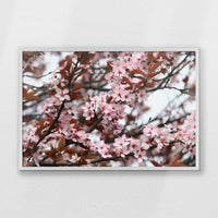 PW-093W062