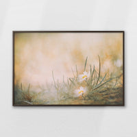 LWN120W080