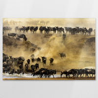 AL-120W080