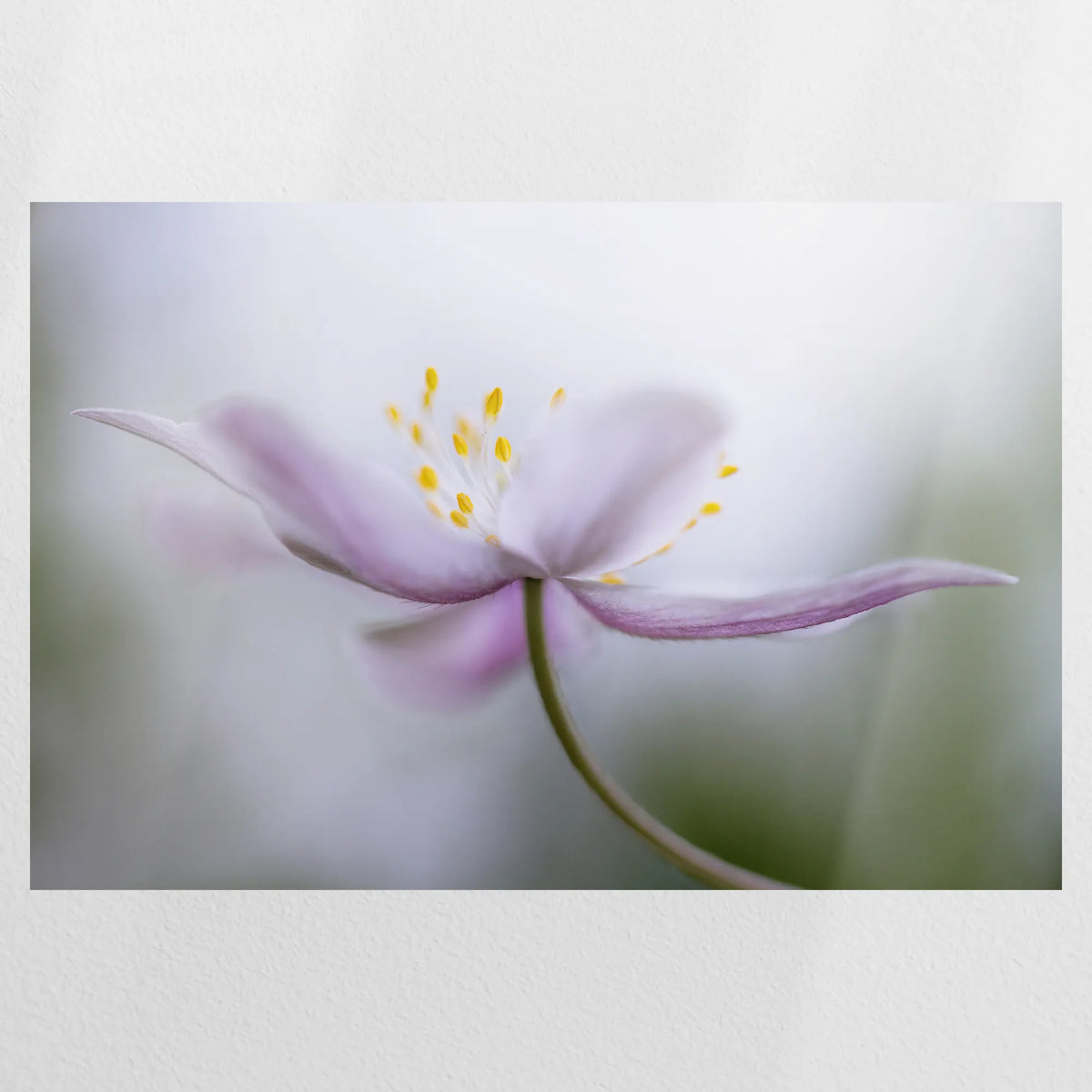 PO-090W060