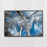LWN120W080