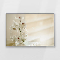 PB-093W062