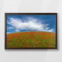 LWN060W040