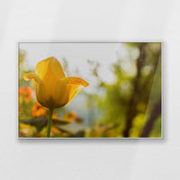 PS-120W080