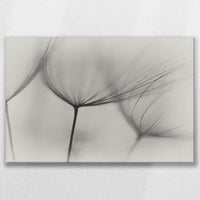 LW-075W050