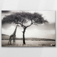LW-090W060