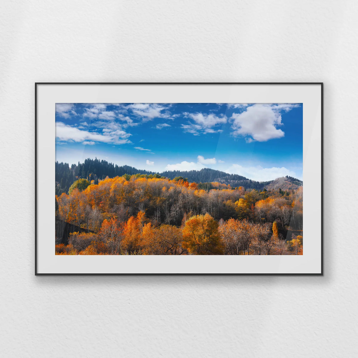PBP120W080