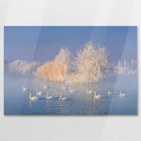 AL-090W060