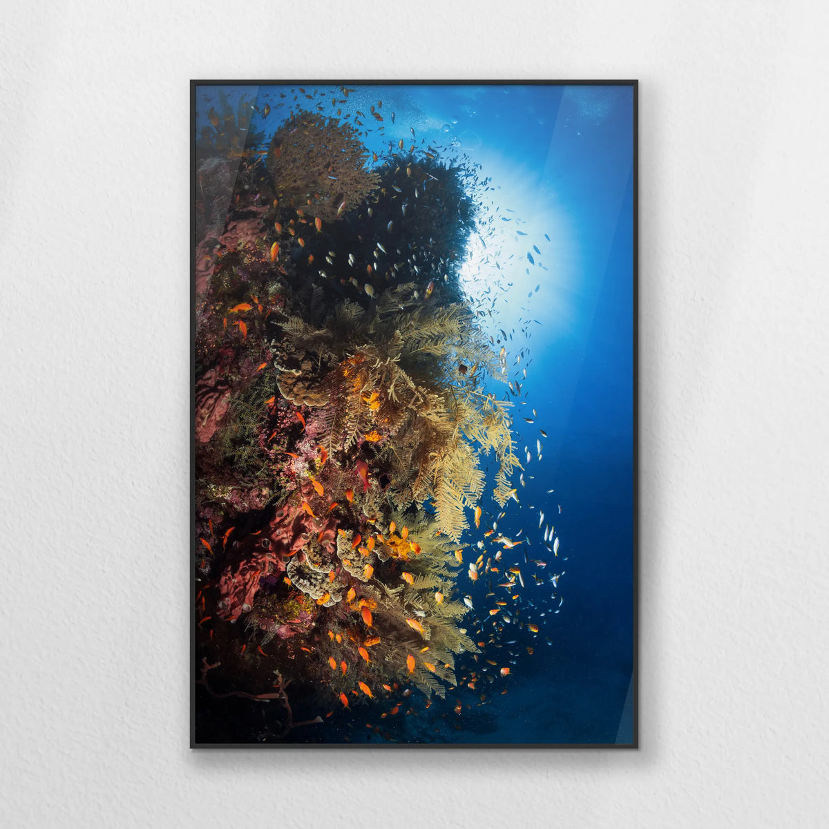 PB-070W100