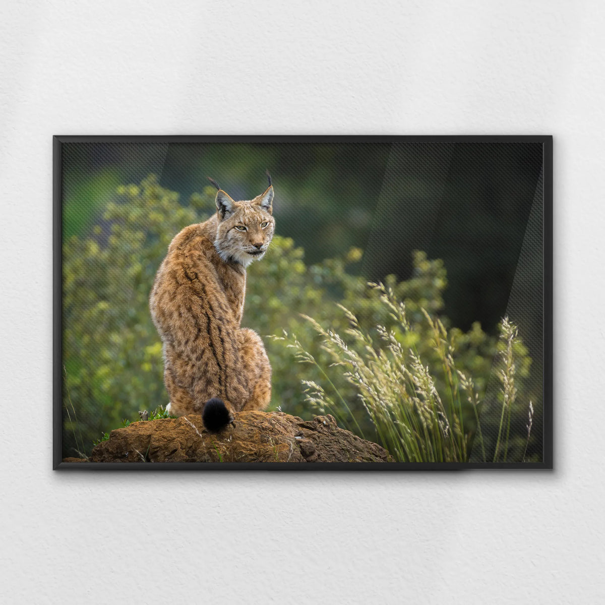 LWB100W070