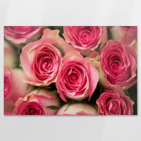 AL-120W080