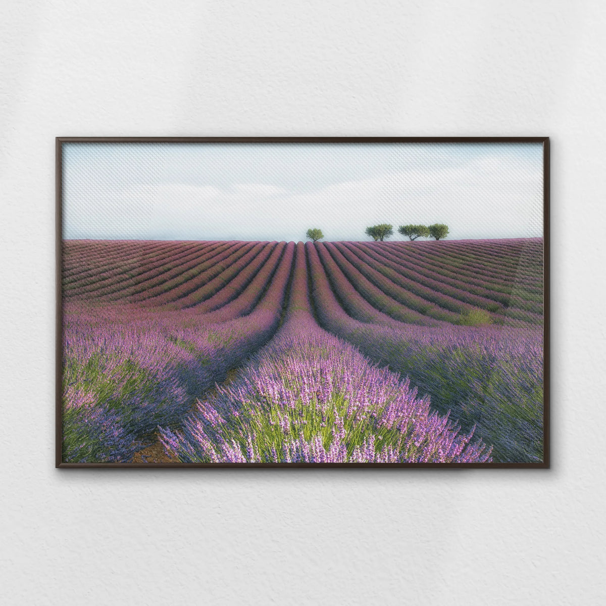 LWN120W080