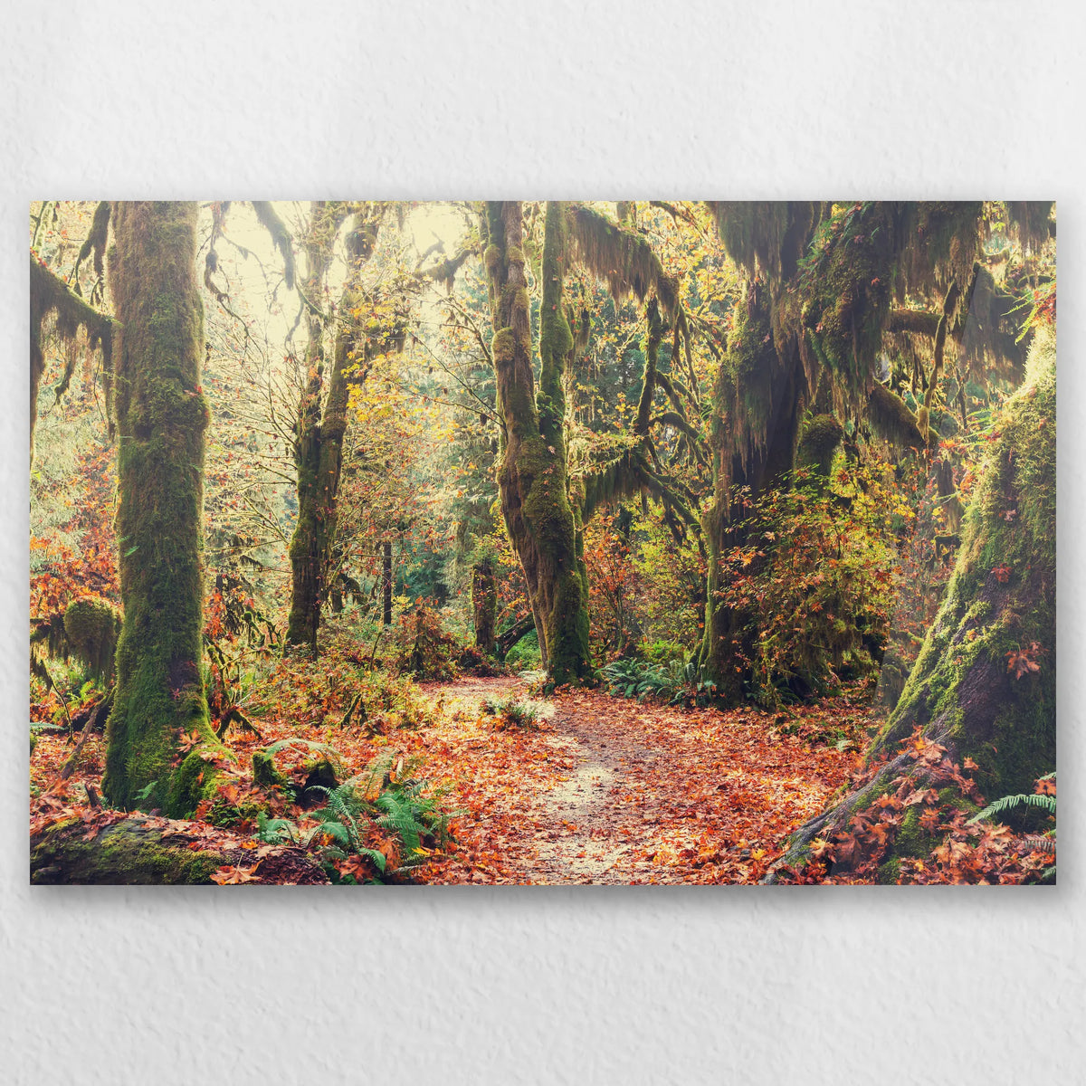 AC-045W030