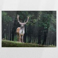 PO-060W040