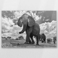 AL-045W030