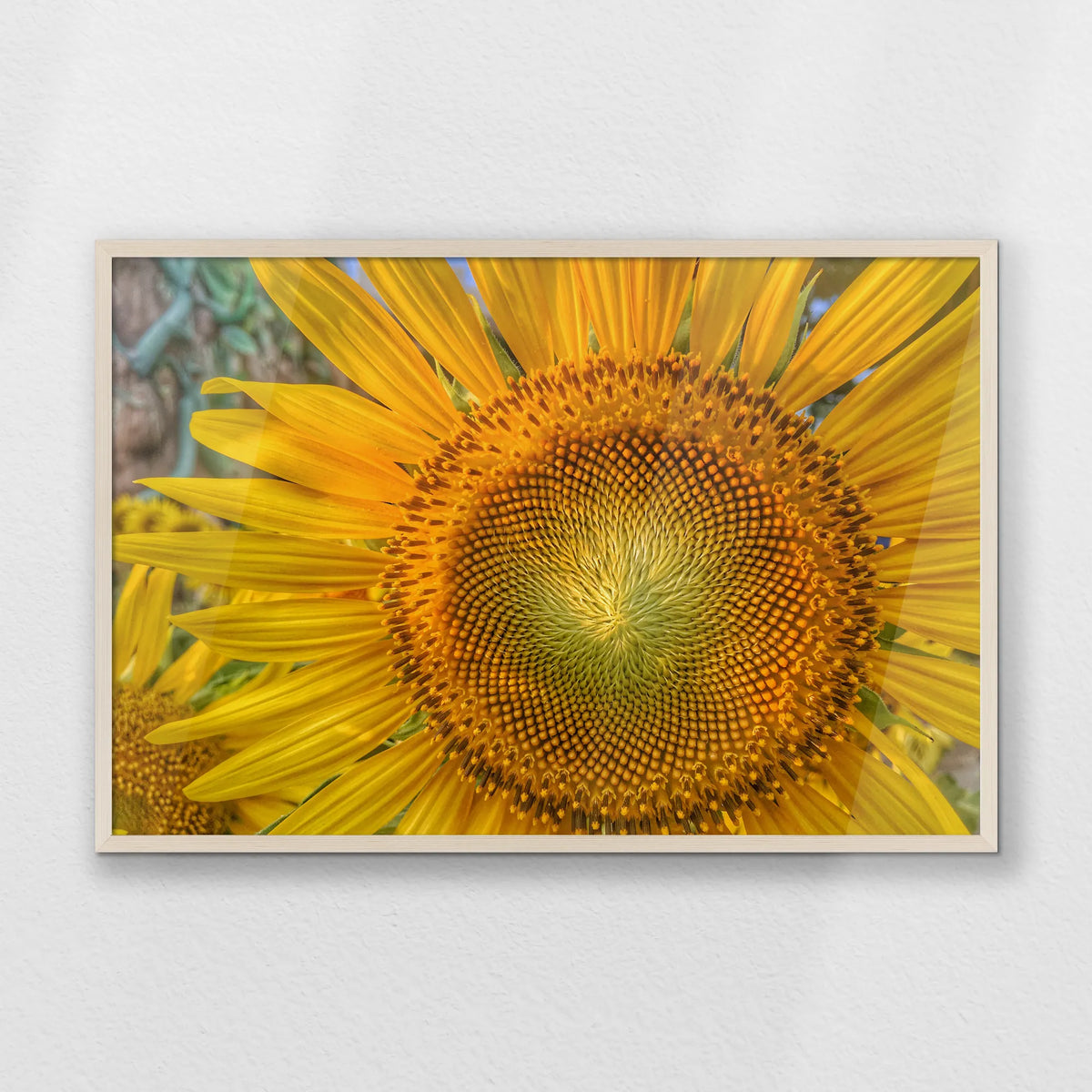PN-093W062