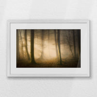 PWP060W040