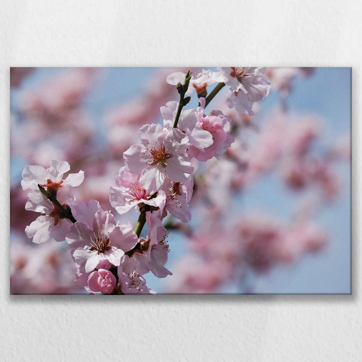 LW-075W050