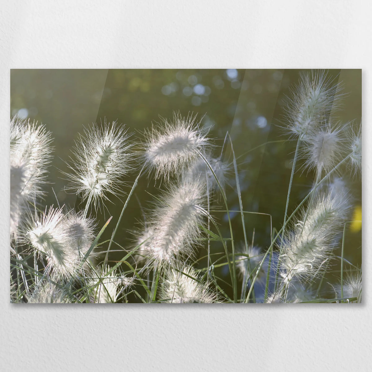 AC-075W050