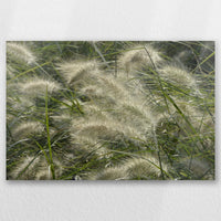 AC-030W020