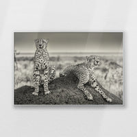 PS-120W080