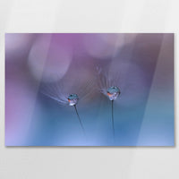 AL-090W060