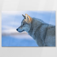 AC-090W060