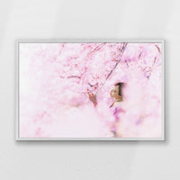 PW-093W062