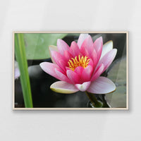 PN-100W070