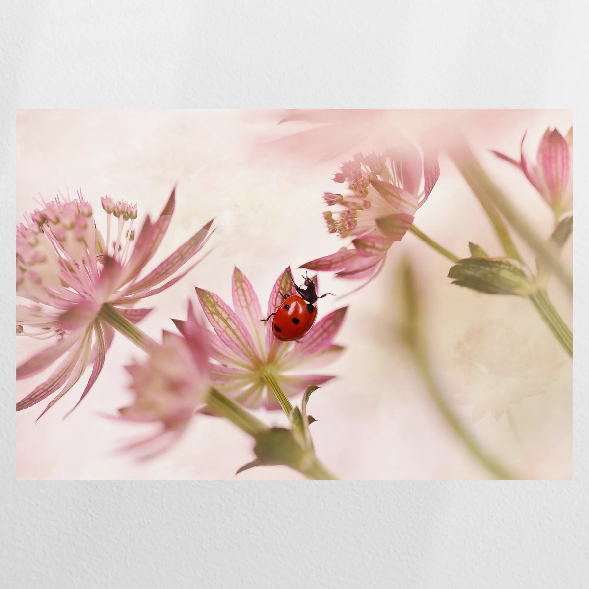 PO-090W060