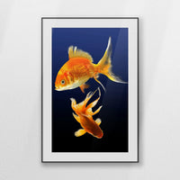 PBP080W120
