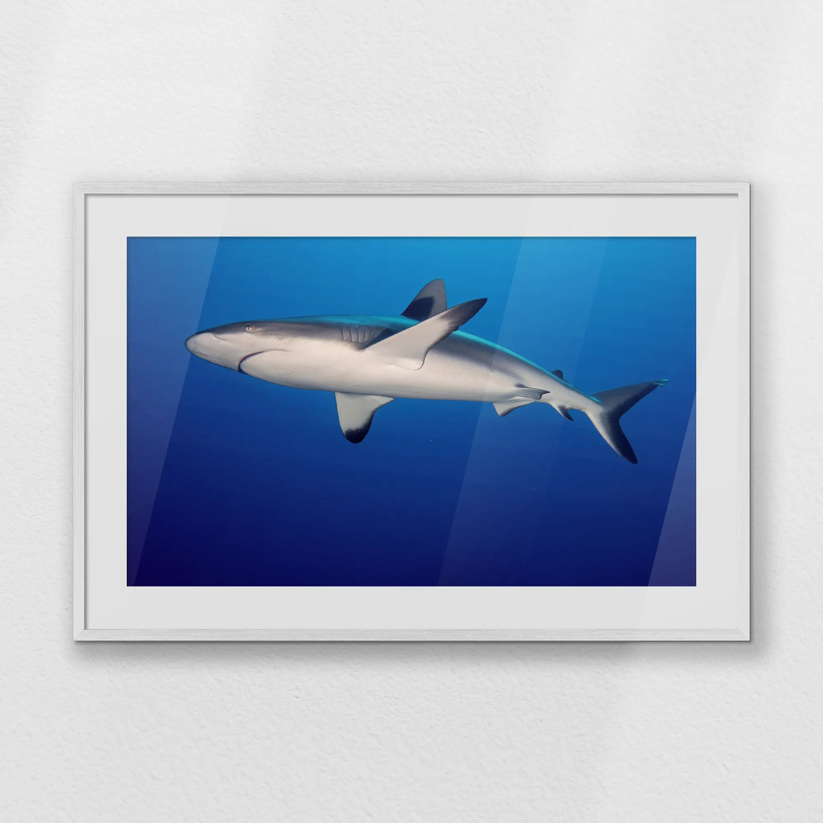 PWP100W070
