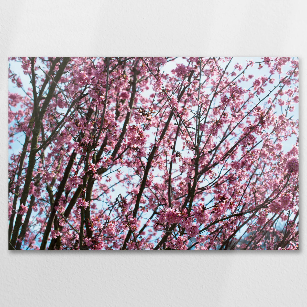 AC-075W050