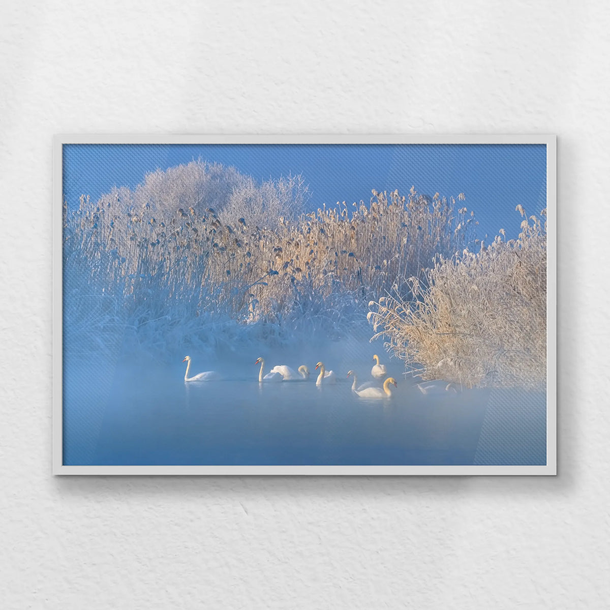 LWW100W070