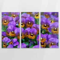 AC-150R100