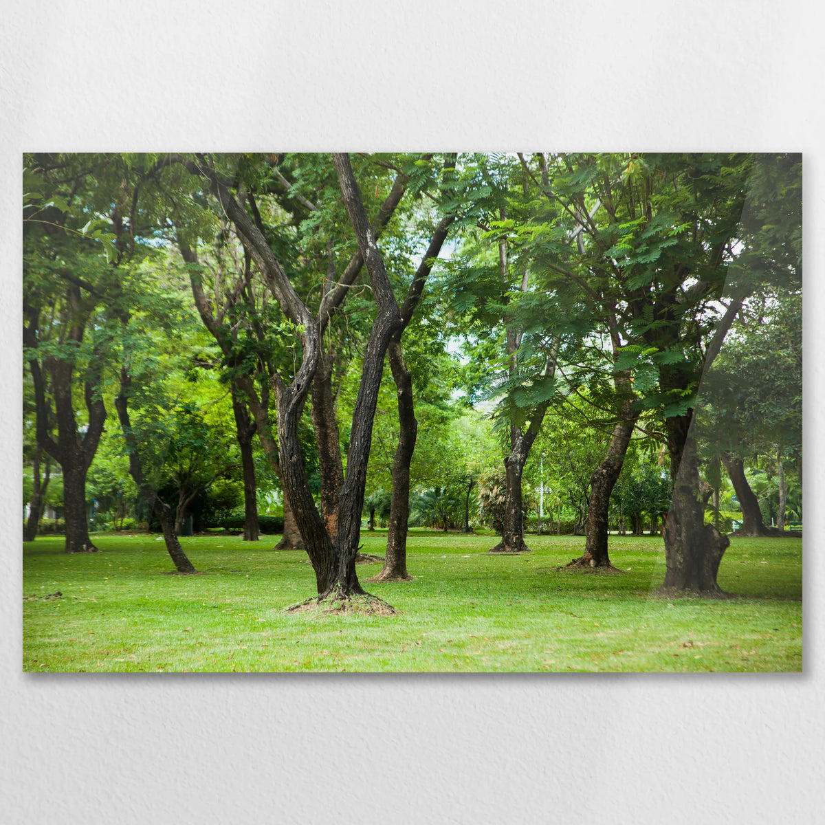 AC-075W050